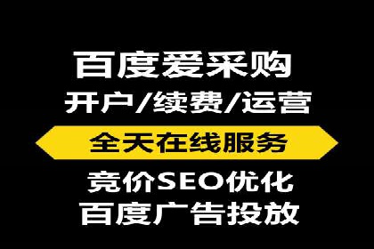 某某SEM服务公司成功案例：从数据出发的营销策略